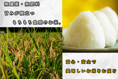CB-007_合鴨農法のお米「ゆく鴨米」（元気つくし）3ｋｇ～安心･安全なお米を行橋市からお届け
