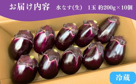 泉州特産 水なす(生) 200g×10個 ナス 茄子 なす 泉州産 水なす 岸和田 岸和田市 岸和田産