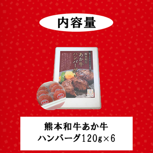 【三協畜産】熊本和牛 あか牛100% 牛肉 ハンバーグ 120g 6個 計720g あか牛 熊本県産 肥育 加工品 阿蘇 熊本 褐毛和種 褐牛 和牛 惣菜 おかず ご飯のお供 熊本名物 ご家庭用 ギフト 贈答用
