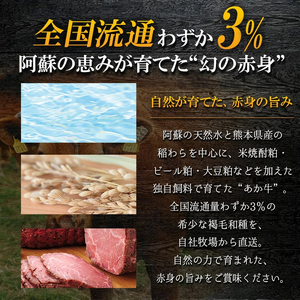 【三協畜産】熊本和牛 あか牛100% 牛肉 ローストビーフ 200g 専用ソース付 あか牛 熊本県産 肥育 加工品 阿蘇 熊本 褐毛和種 褐牛 和牛 ご当地 熊本名物 ご家庭用 ギフト 贈答用