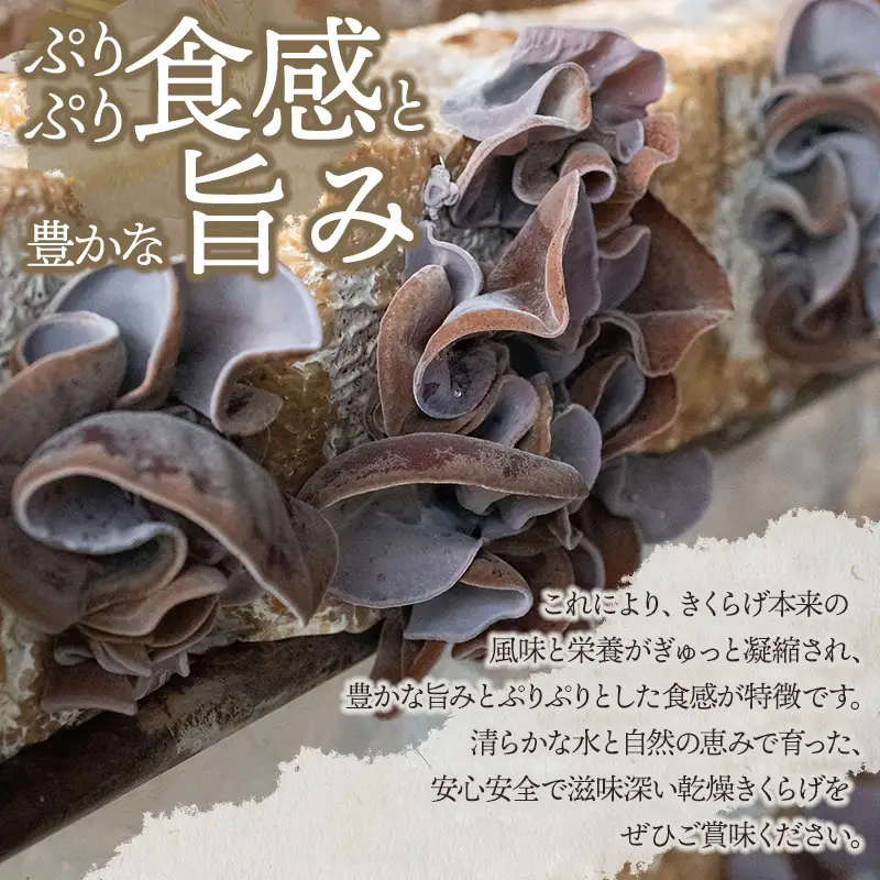 羽黒産 乾燥キクラゲ 60g(12g×5)　山形県鶴岡市 農事組合法人 庄内おばこ農場 K-710