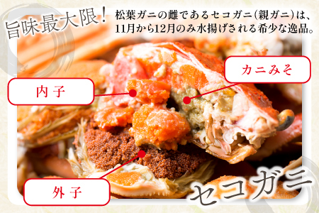 【蒸し】訳あり足折れご自宅用　日本海産親ガニ（セコガ二） 10枚【訳あり かに カニ 親ガニ セコガニ ずわいがに ズワイガニ 冷蔵 チルド ブランド 蒸し ボイル 足折れ 自宅用 国産 季節限定 お取り寄せ 鳥取県 日吉津村 日本海】