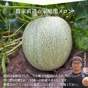 【ふるさと納税】先行受付＜メロン 2玉 合計約3kg＞ サンライズメロン 赤肉 めろん 赤 果物 フルーツ 果実 家庭用 旬 ちょっと訳あり【常温】高知県 佐川町 はちきんの店 ＜2026年7月中旬頃～8月中旬頃までに発送予定）＞
