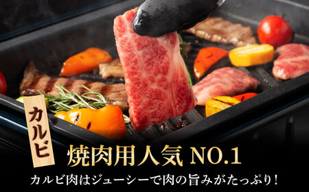 くまもと黒毛和牛 藤彩牛 焼肉用3種セット 計約900g  焼肉 BHAD124