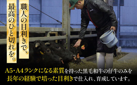 くまもと黒毛和牛 藤彩牛 サーロインステーキ 約200g ステーキ BHAD125