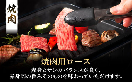 くまもと黒毛和牛 藤彩牛 ロース食べ比べセット 計約1.2kg ロース BHAD127