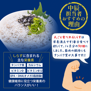 【しらす】釜揚げしらす 900g ツインパック30g×30個 愛媛県松山市【NKT003】