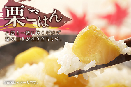 ＜2026出荷!!＞＜訳あり＞期間限定 国産 新鮮朝どれ（むき栗）1.5kg 産地直送 お取り寄せ 宝珠栗 宮崎県新富町産【C448-26】