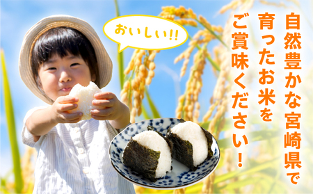 2週間以内に発送 早場米 コシヒカリ 計20kg_I30-25