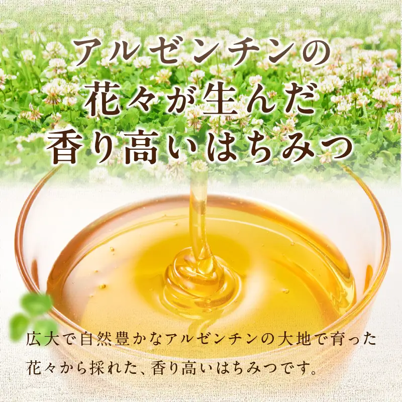 アルゼンチン産純粋はちみつ500g はちみつ ハチミツ ハニー 蜂蜜 朝食 常温 保存 備蓄 防災食 非常食 防災グッズ 福岡県 八女市 207-002