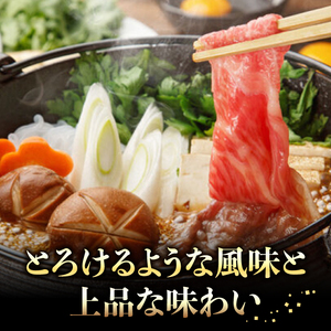 【A4?A5】博多和牛 すき焼き用 上スライス 690g[BGAA028]