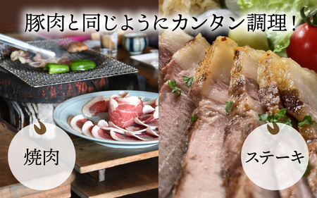奥能登 穴水産 天然猪肉 ランプ 120g×3枚 計360g / ジビエ