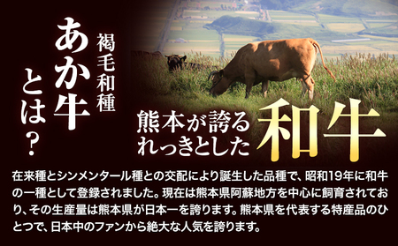 あか牛 焼肉用 カルビ 1.1kg 牛肉 あか牛