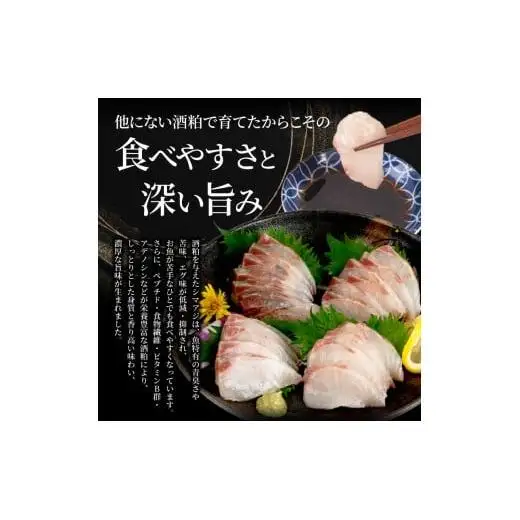 【 シマアジ 】 シマアジ美粕祇万4人前
