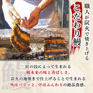 うなぎ蒲焼 1尾 ハーフカット2枚 国産うなぎ 冷凍
