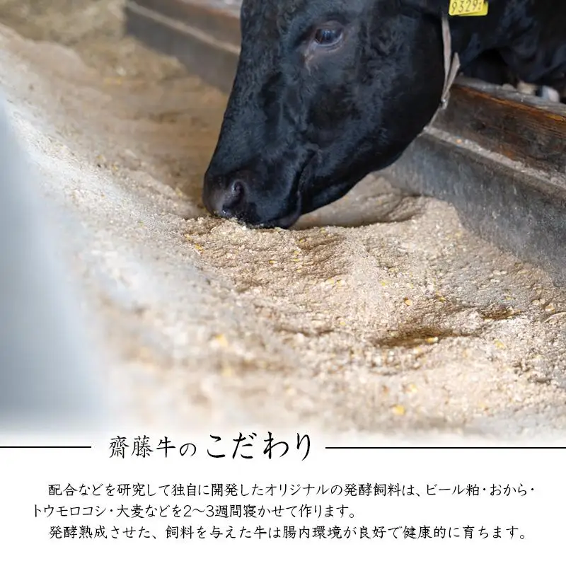 希少部位 黒毛和牛「宮崎和牛 齋藤牛」ミスジステーキ100g×5枚 国産牛肉＜5-13a＞