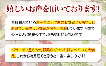 野菜 定期便 3回（6-7種）少量 野菜セット[AGBX044]