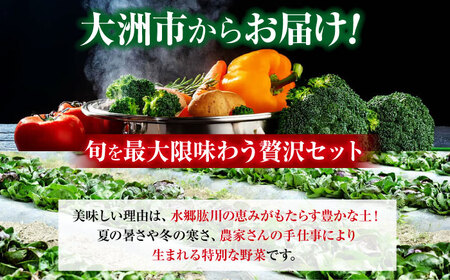 【全6回定期便】野菜×フルーツセット（6-7種）少量食べきりセット　 野菜 果物 やさい 少量セット[AGBX049]