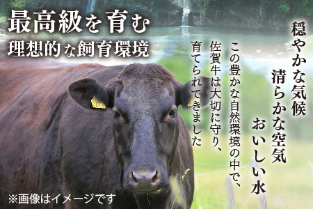 艶さし!【A4～A5】佐賀牛サーロインステーキ 300g(150g×2枚)(H112271)