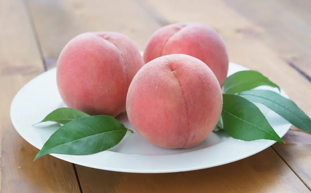 桃（川中島）２ｋｇ　特秀品　0055-2605
