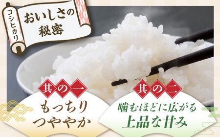 【スピード発送】コシヒカリ・きぬむすめ白米食べ比べセット [AQDH007] こしひかり 白米