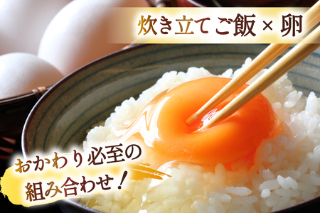 宮城県産 とまたんのひとめぼれ 3kg ひとめぼれ [サンフレッシュ小泉農園 気仙沼市 20565645]