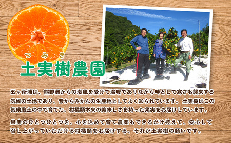 【2026年7月下旬～発送】 みかんジュース 果汁100％ ストレート 三重県産