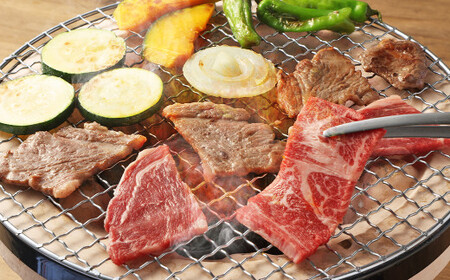 【3ヶ月 定期便】訳あり 赤牛 焼肉 用 カット （バラ・ロース） 500g 合計 1.5kg 熊本県産 牛肉 牛 国産 国産牛 熊本 肉 あか牛 焼き肉 セット