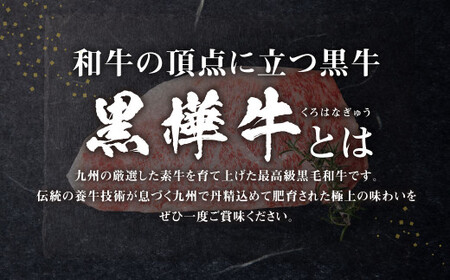 黒樺牛 肉厚サーロインステーキ 900g（300g×3） 牛肉 和牛 お肉 ステーキ 黒毛和牛 国産 九州産 熊本県 湯前町