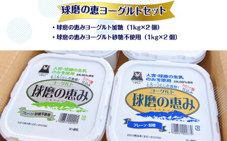 【12ヶ月定期便】とろ～りもっちり!球磨の恵みヨーグルトセット(加糖・砂糖不使用各1kgx2個 計4個)計48kg