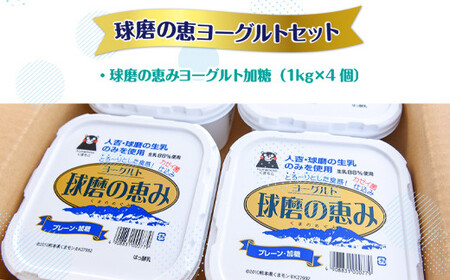 【12ヶ月定期便】球磨の恵みヨーグルトセット(加糖1kg×4個)計48kg