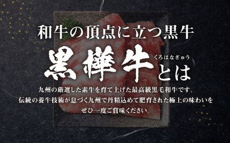 黒樺牛 焼肉用カルビ 250g×1パック 黒毛和牛 焼き肉 牛肉 冷凍