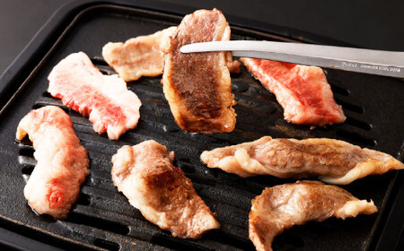 くまもと黒毛和牛プレミアム和王 焼肉用（バラもしくは肩ロース） 約600g（約300g×2パック） 黒毛和牛 和牛 牛肉 肉 国産 熊本県 湯前町