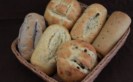 【定期便6回】手づくり天然酵母大きな食事パンセット6種 詰め合わせ 手作り 天然酵母 国産小麦 自然発酵