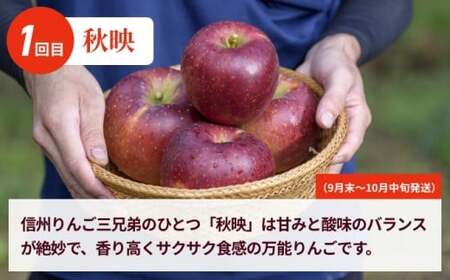 【訳あり】【3回定期便】旬のりんご 訳あり約3kg 食べ比べ 秋映 シナノスイート シナノホッペ サンふじ ［おぶせファーマーズ］ 不揃い 規格外 家庭用 果物 フルーツ りんご 林檎 リンゴ 長野県産 信州産 令和8年産 【2026年9月末～11月下旬】