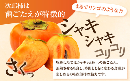 次郎柿 6.5kg 訳あり ご自宅用 甘 柿