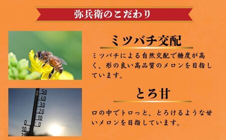 赤肉とろ甘メロン 2玉 メロン