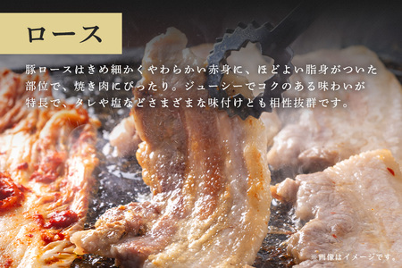 ローズポーク　ロース焼き肉用（3mm）500g【茨城県共通返礼品 / 茨城県産】 C09-012