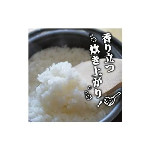 コシヒカリ10Kgコシヒカリコシヒカリコシヒカリ