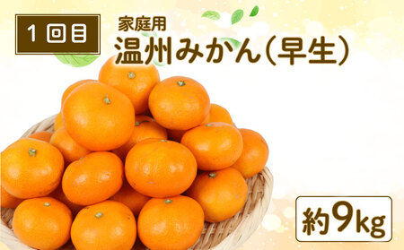 【みかん定期便】みかん定期便3回玉津柑橘倶楽部B030-072048