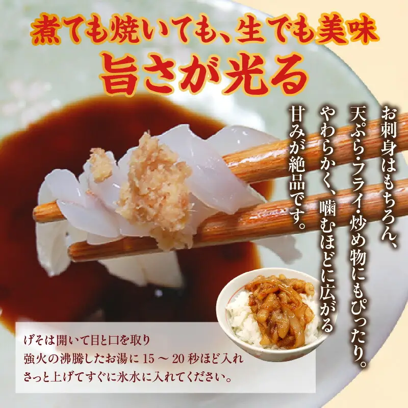 白イカ 約1kg 4-7杯程度入 不揃い 冷凍 いか イカ 74-31