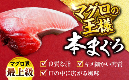 天然 本まぐろ 赤身 計約800g （4柵入り）【横須賀商工会議所 おもてなしギフト事務局（本まぐろ直売所 横須賀本店）】[AKAK098]