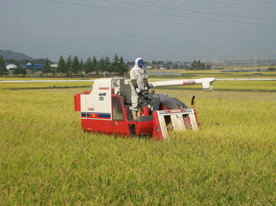 22-B 会津坂下町産 ササニシキ 10kg（5kg×2） ※2025年10月上旬頃より順次発送予定