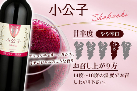 小坂七滝ワイナリー 小公子 720ml×1本