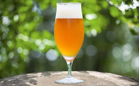 ＼3ヶ月連続定期便／ 【Toshi Ishii】日本を代表するブリューマスターが造る「ORIHIME」Pale Ale 355ml×8缶を月1回、3ヶ月連続でお届け 【 クラフトビール お酒 栃木県 足利市 】  F7Z-1444