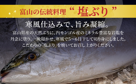 【定期便】12ヶ月連続お届け 訳あり 塩ぶり 10パックセット / 鰤 お歳暮 冬ギフト 年末 年始 切り身 天然ブリ 雑煮 おせち 下味冷凍 長期保存 おかず お弁当 1人暮らし 岩塩 塩焼き ギフト お祝い 出世魚 滑川市 富山県 とと屋 定期便 12か月 60g × 10パック 600g × 12回 7200g 7.2kg