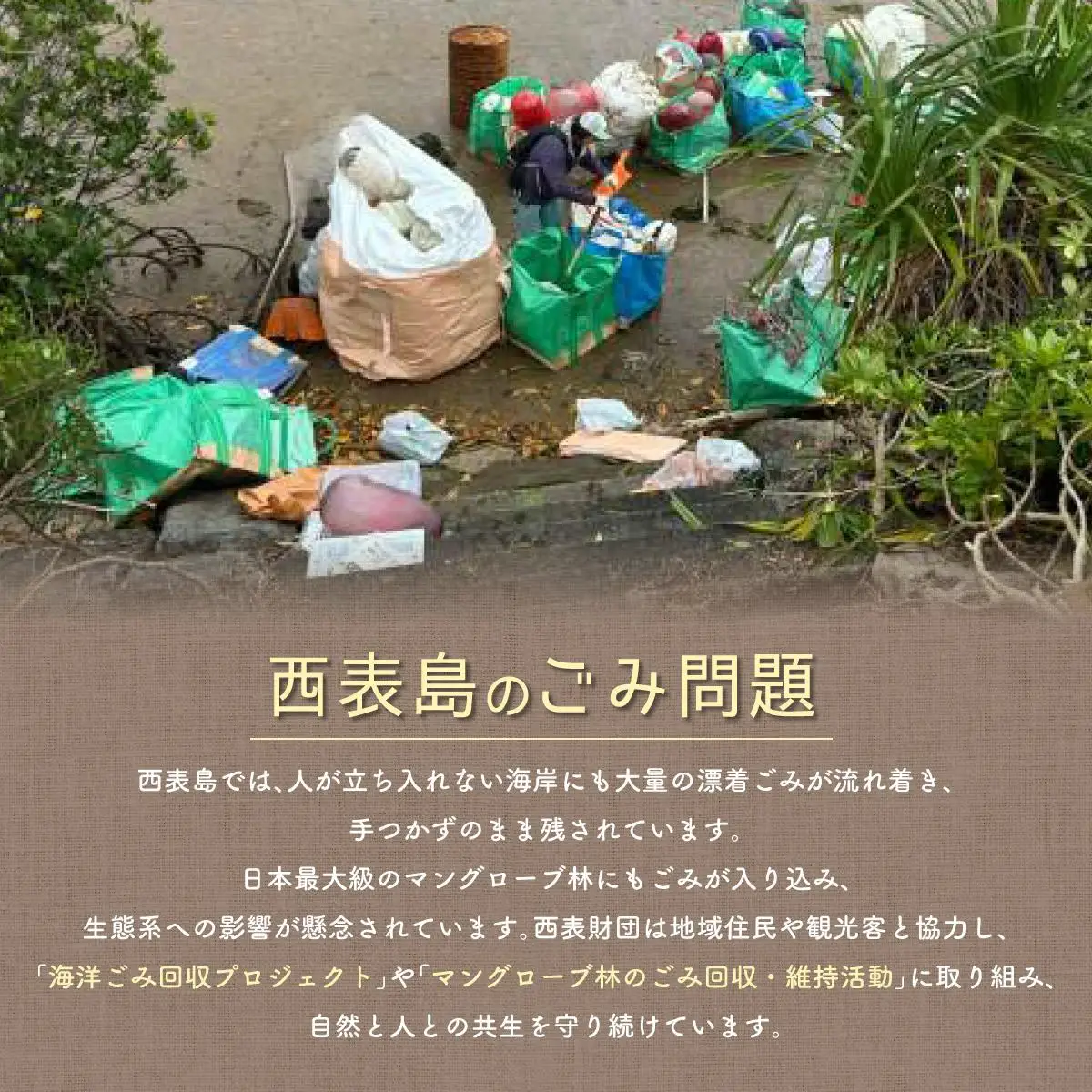 一般財団法人西表財団 感謝状＋西表島フォトコンテスト「西表島カレンダー」付