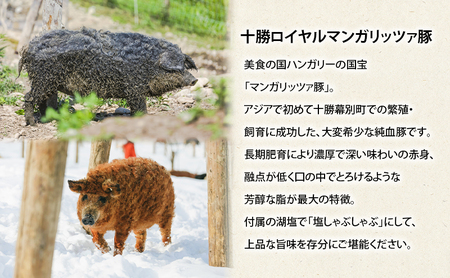 北海道 十勝 幕別のブランド放牧豚 食べ比べ定期便 [しゃぶしゃぶ/全3回] どろぶた・マンガリッツァ豚・遊ぶた【 豚 豚肉 ブランド 放牧 しゃぶしゃぶ 薄切り スライス ロース バラ 冷凍  詰合せ 幕別 】