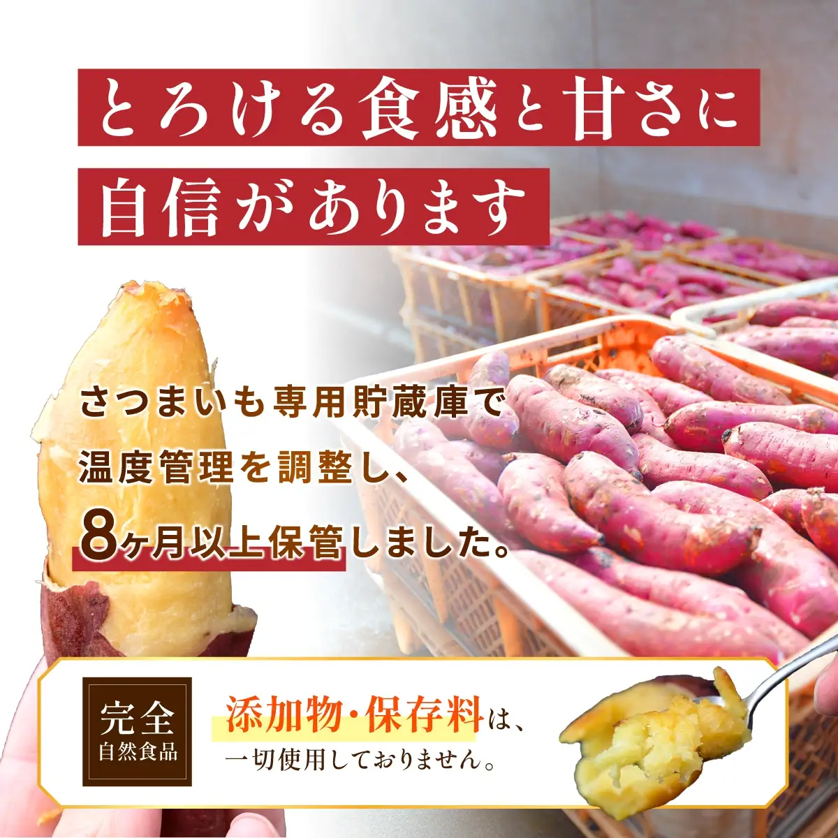 極甘とろける焼き芋 800g【配送不可地域：離島】【1657139】