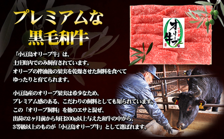 小豆島 オリーブ牛 肩肉 焼きしゃぶ用 500g 和牛 黒毛和牛 ブランド牛 国産牛 国産牛肉 牛肉 牛 お肉 肉 焼きしゃぶ用肉 焼きしゃぶ肉 しゃぶしゃぶ用肉 しゃぶしゃぶ肉 牛肩肉 牛肩 食品 香川 香川県 土庄町